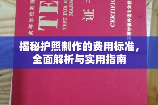 龙井揭秘护照制作的费用标准，全面解析与实用指南